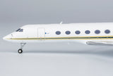 Gulfstream V LV-IRQ (Lionel Messi's Private Jet With No. 10) NG Model 75019 Scale 1:200