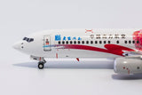 China Southern Boeing 737-800 B-1979 Home Town Henan NG Model 58083 Scale 1:400