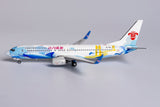 China Southern Boeing 737-800 B-1781 Energetic Zhuhai NG Model 58119 Scale 1:400