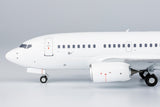 Blank/White Boeing 737-600 NG Model 06000 Scale 1:200