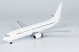 Blank/White Boeing 737-800 NG Model 08010 Scale 1:200