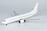 Blank/White Boeing 737 MAX 8 NG Model 92000 Scale 1:200