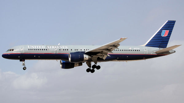 XX20219_grande.jpg?v=1724969820