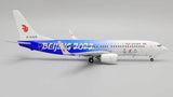 Air China Boeing 737-800 B-5425 Beijing 2022 Olympic Winter Games JC Wings JC2CCA0080 XX20080 Scale 1:200